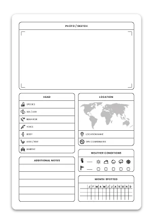 KDP Interior Template Low Content Design in 6x9 Inch as a Bird Watching Log Book