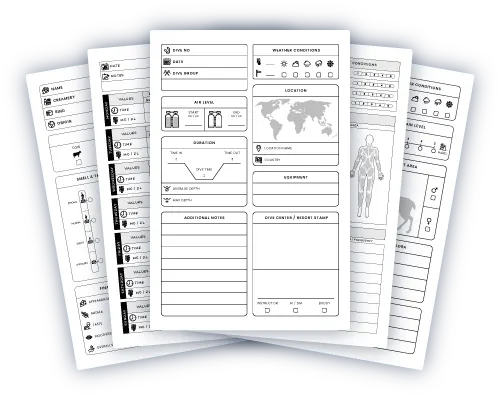 multiple amazon kdp low content book interior template designs with logbooks and journals